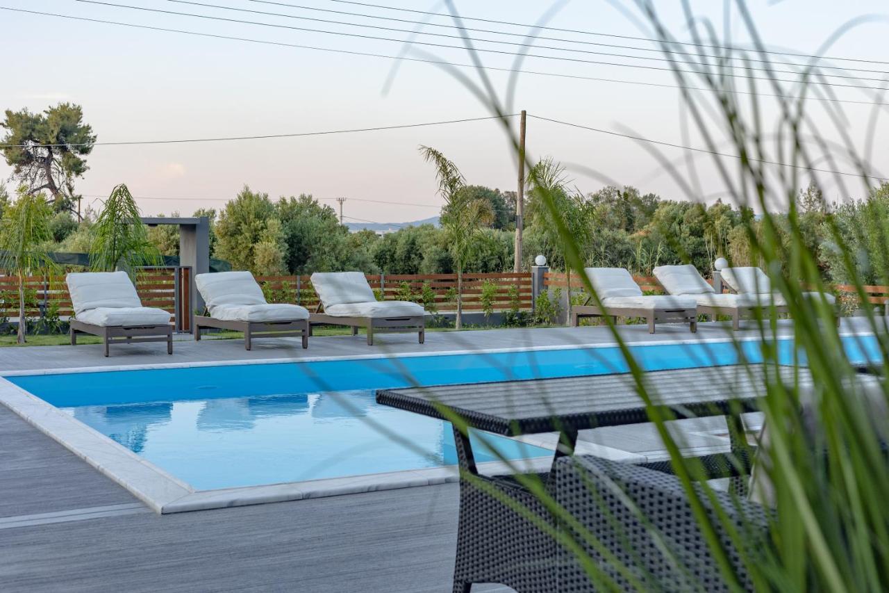 Assos Luxury Villas 佩科霍里 外观 照片