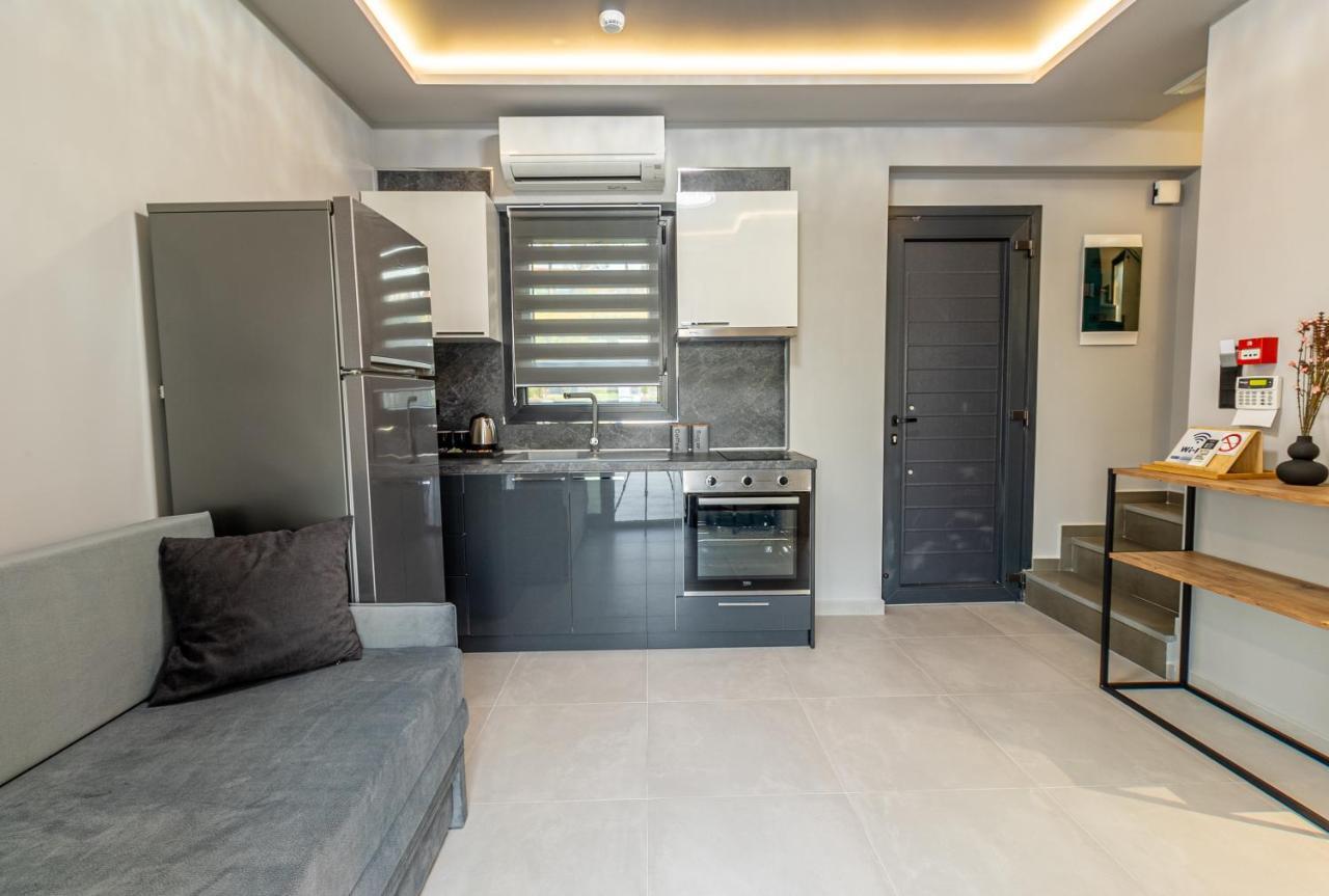 Assos Luxury Villas 佩科霍里 外观 照片